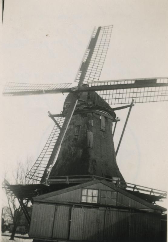 Foto 60147420